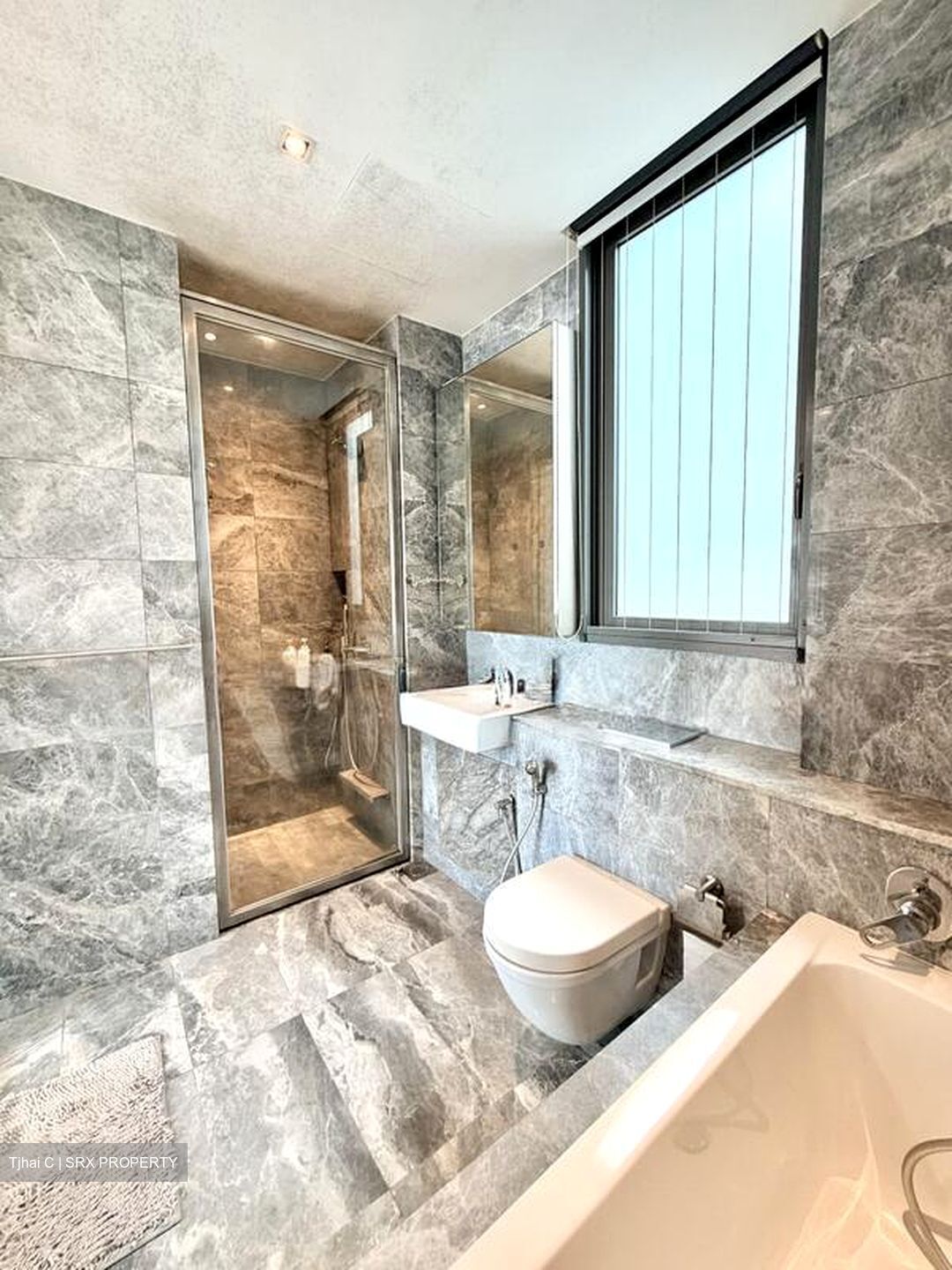 Skyline Residences (D4), Condominium #499920061